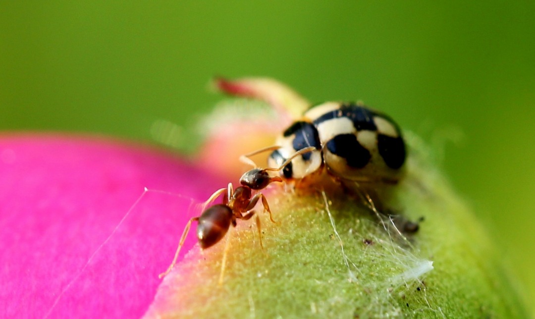 LW4A8545.JPG