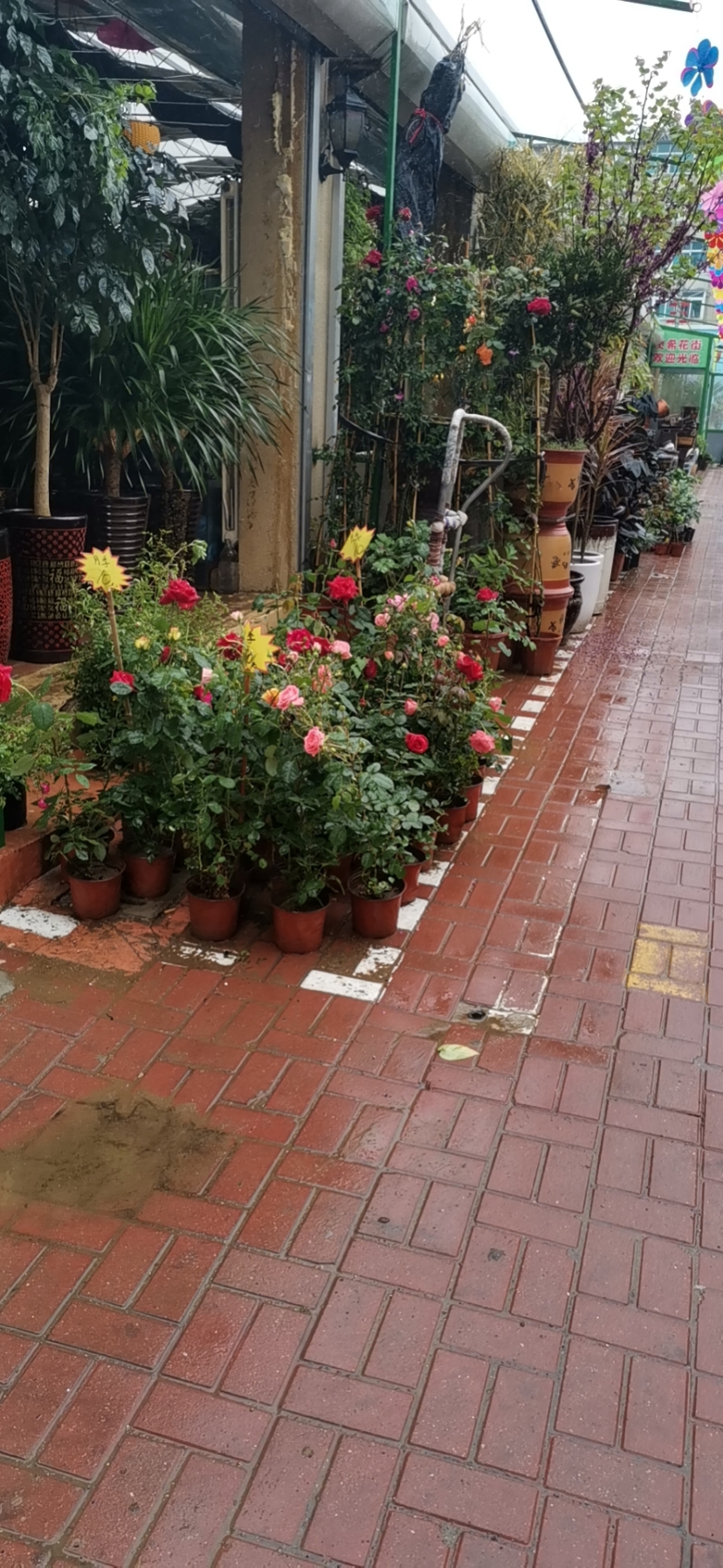 wx_camera_1588988297011.jpg