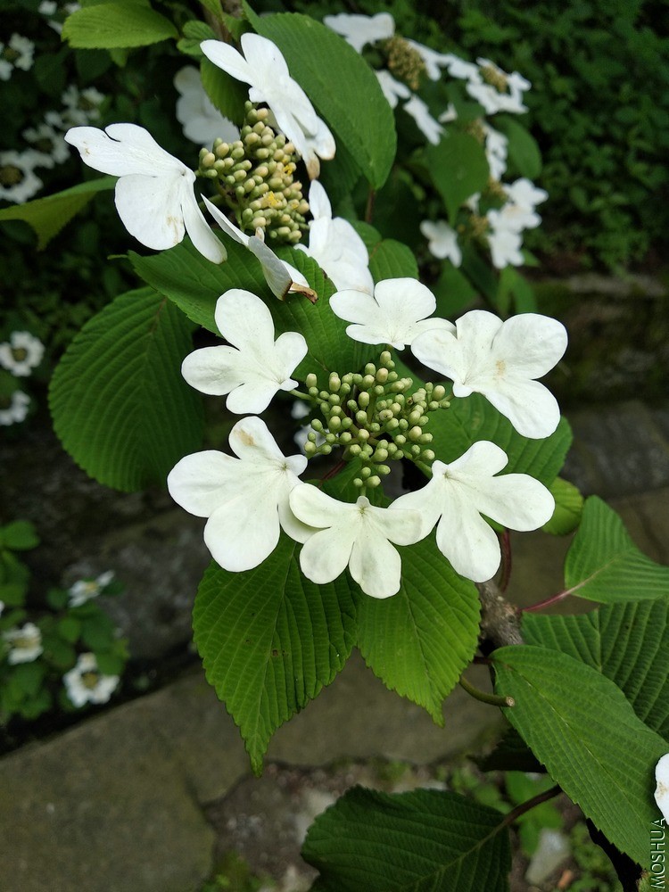 СͼIMG_20200510_140727.jpg