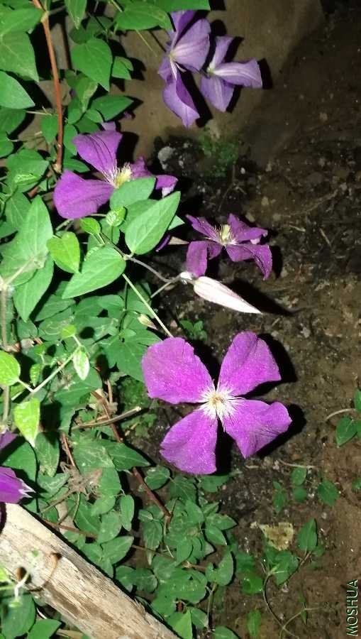 IMG_20200512_201456.jpg