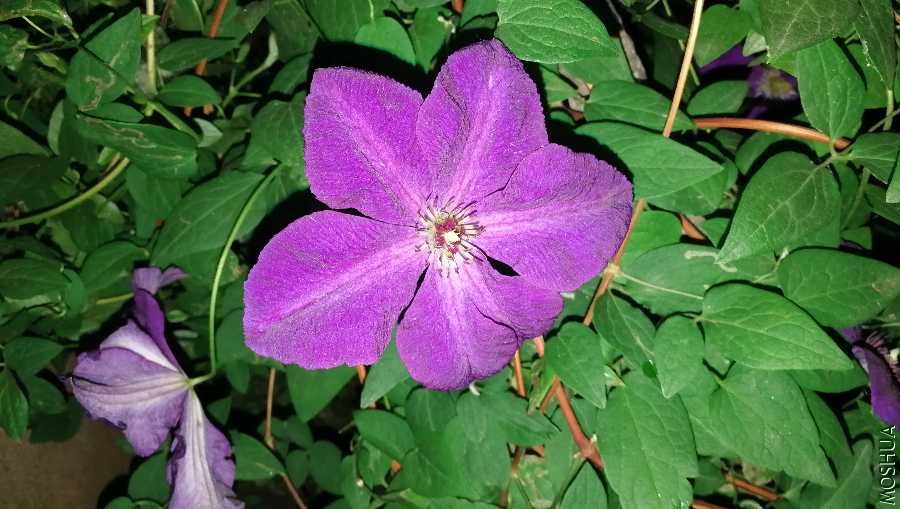 IMG_20200512_201446.jpg