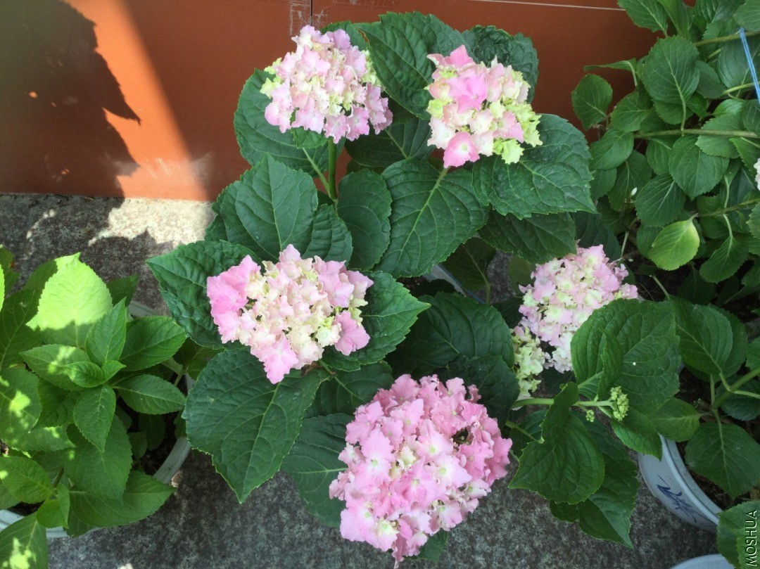 B12B0060-947D-4C60-9AA0-319CA0EA2DB9.jpeg