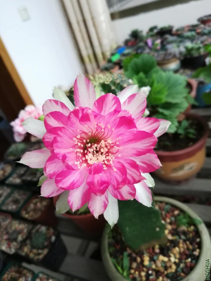 ΢��ͼƬ_20200514114051.jpg
