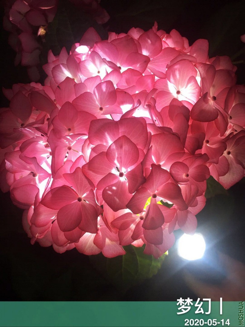 ΢��ͼƬ_20200515114314.jpg