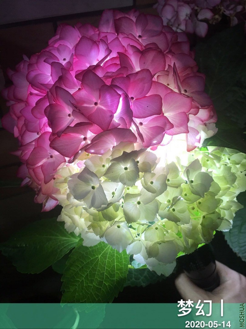 ΢��ͼƬ_20200515114338.jpg