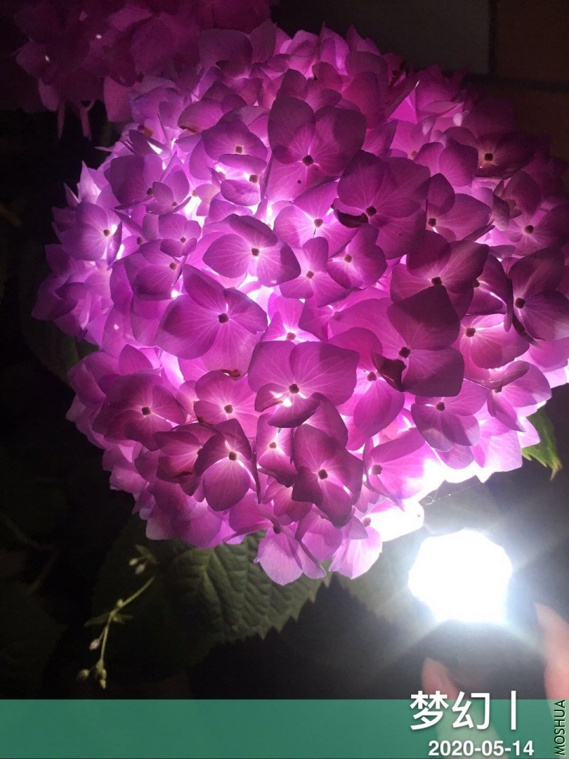 ΢��ͼƬ_20200515114342.jpg