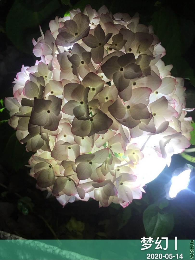 ΢��ͼƬ_20200515114356.jpg