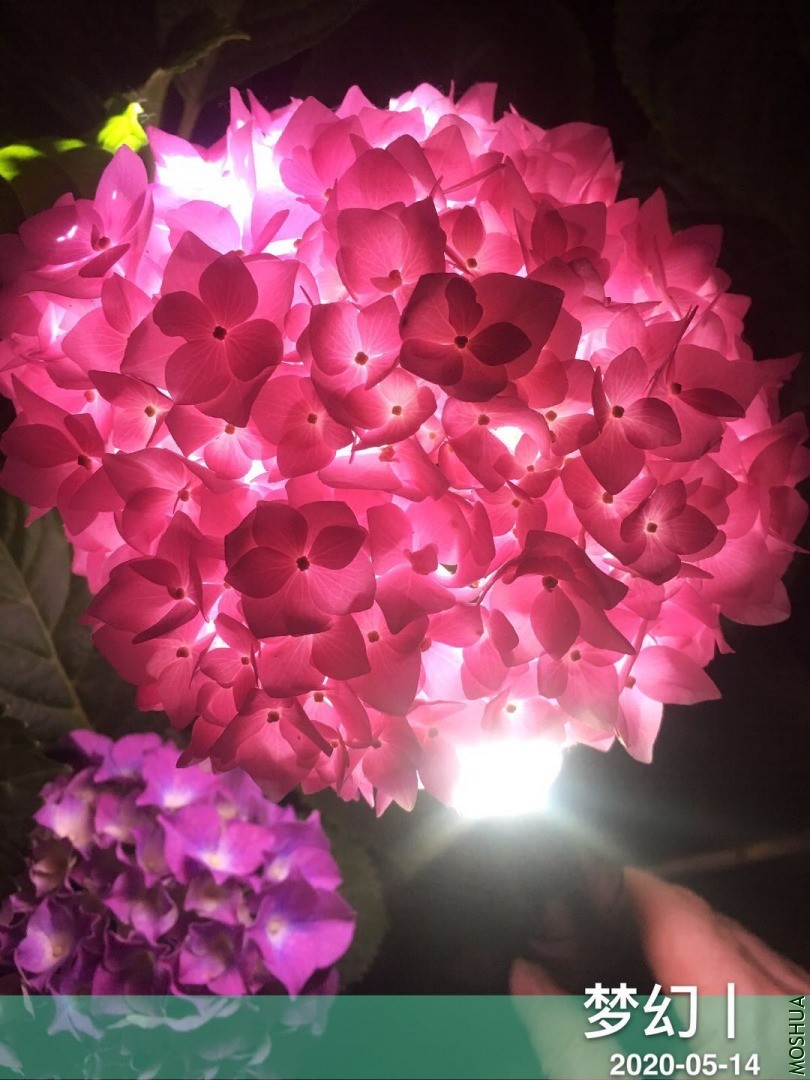 ΢��ͼƬ_20200515114359.jpg
