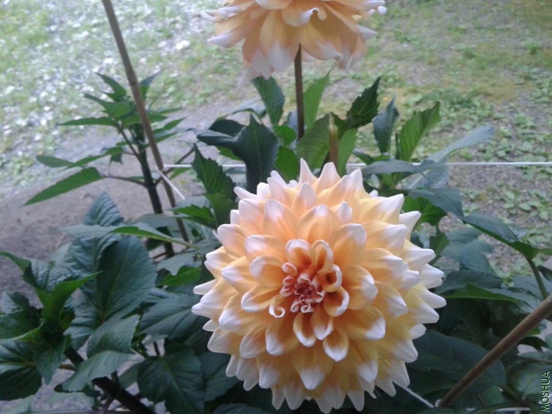 20190716_202810.jpg