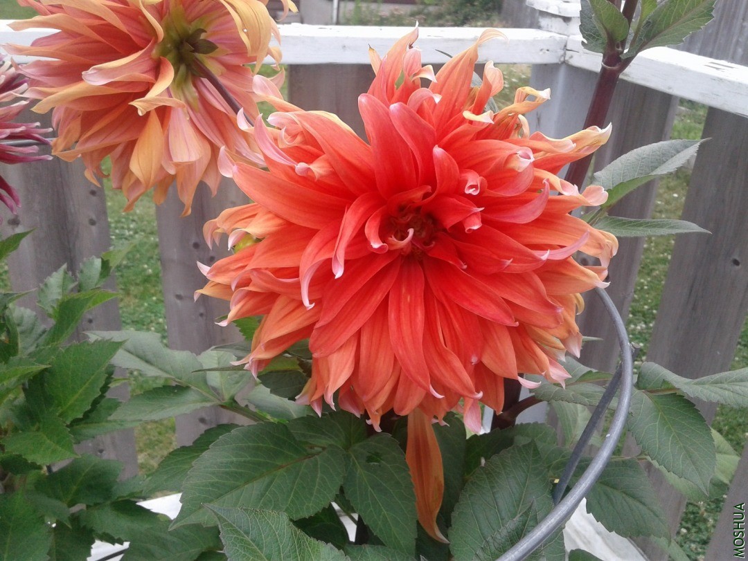 20190724_173940.jpg
