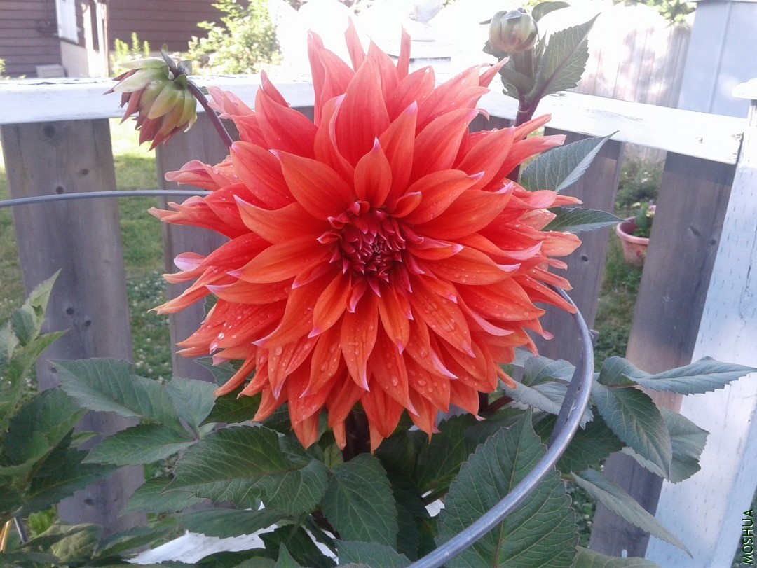 20190718_081200.jpg