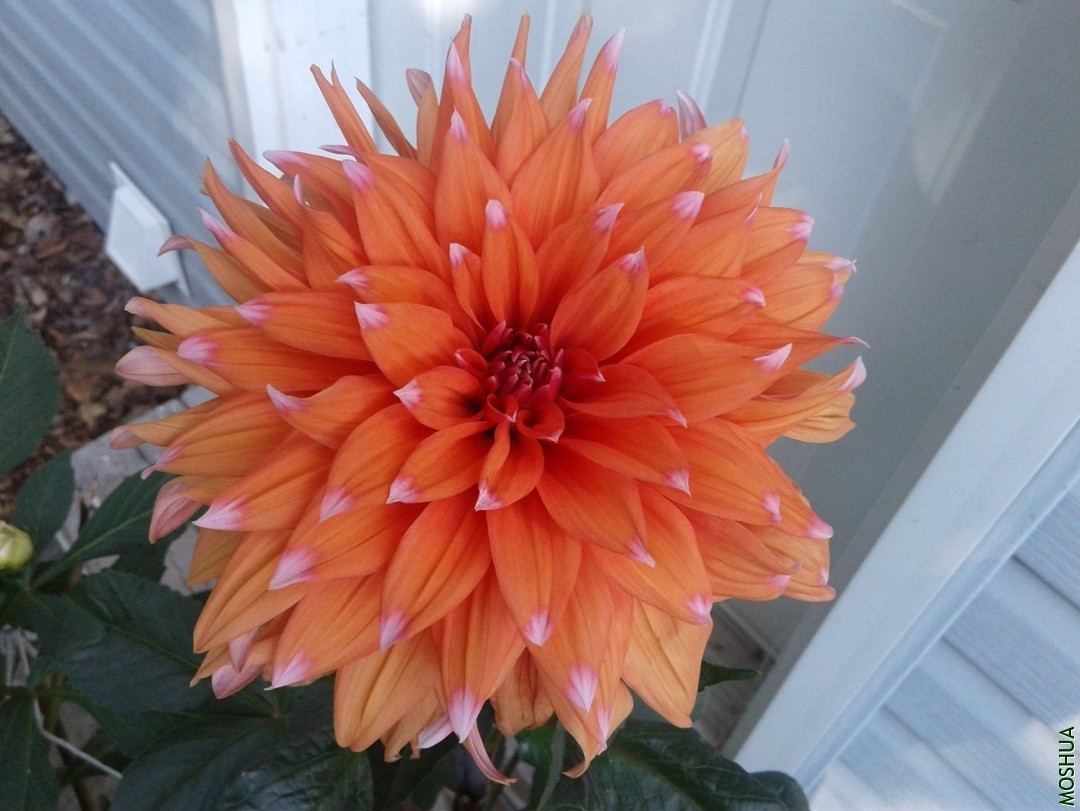 20190825_095502.jpg