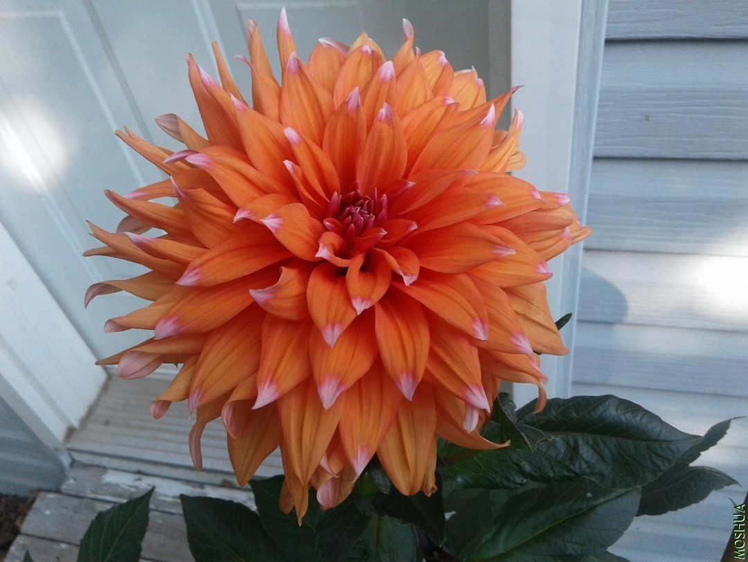 20190825_095516.jpg