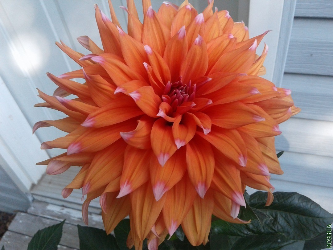 20190825_095520.jpg