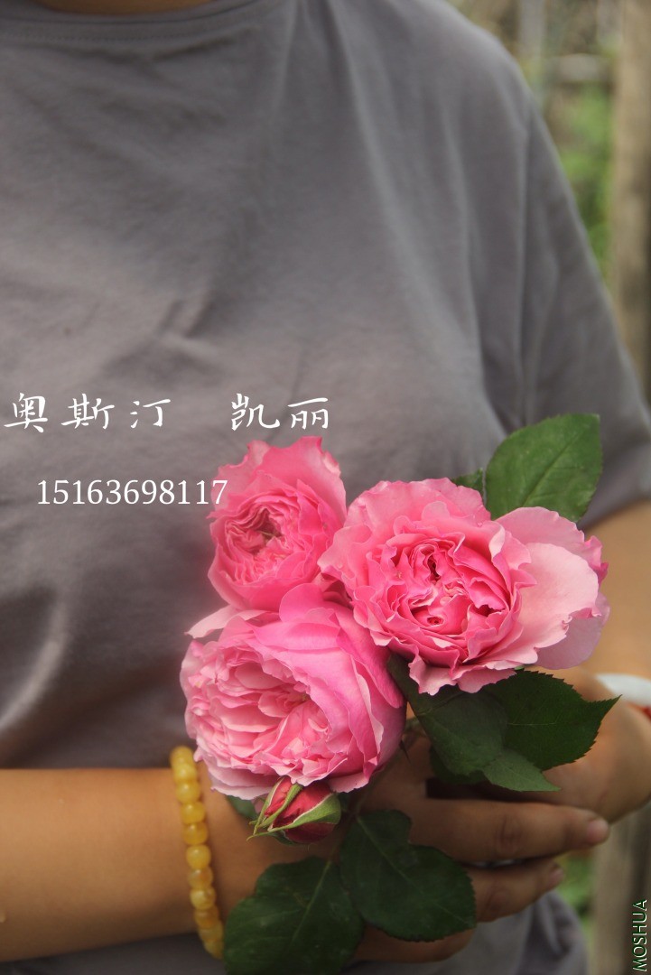 ΢��ͼƬ_20200517083424.jpg
