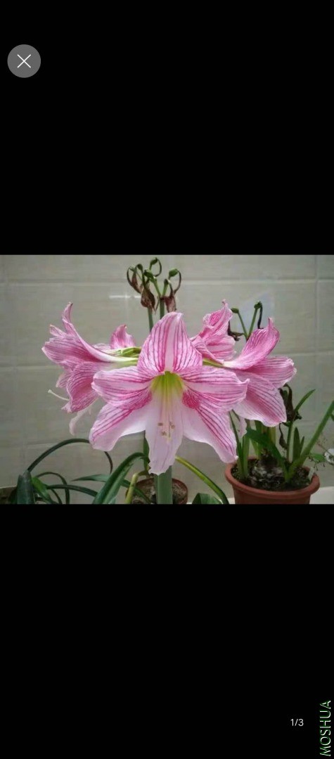΢��ͼƬ_20200522202846.jpg