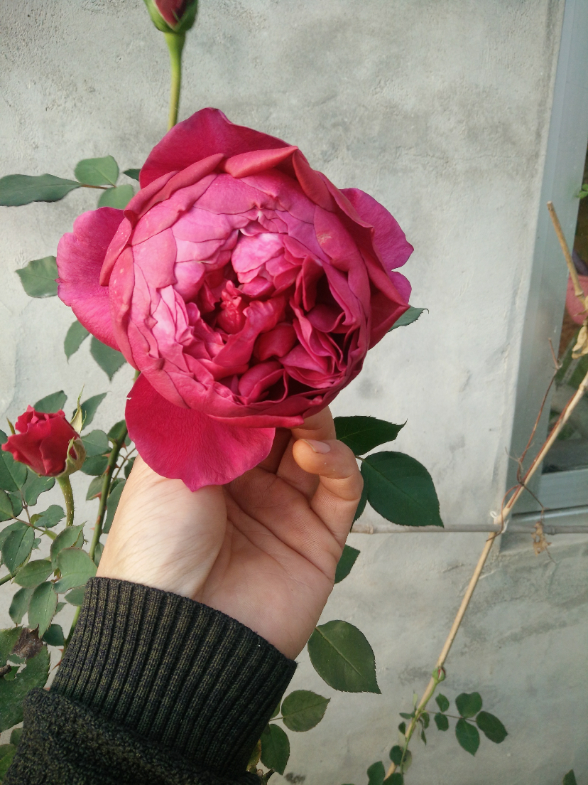 IMG20200320165234.jpg