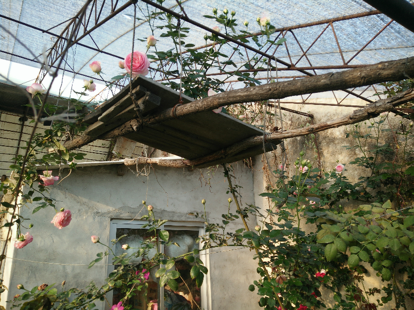 IMG20200412165415.jpg