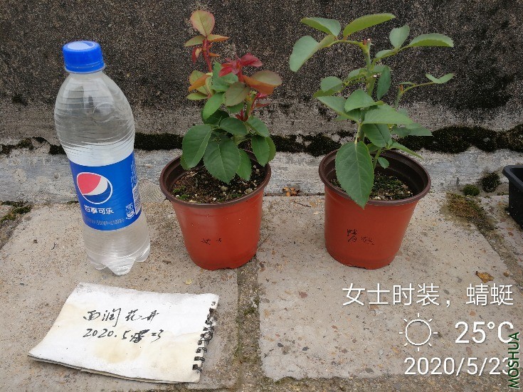 18.jpg