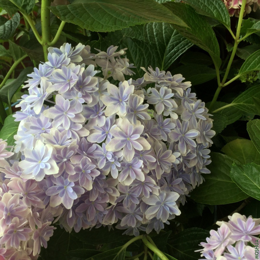 64CF47D4-062A-4BD2-9DC2-496D81280B17.jpeg