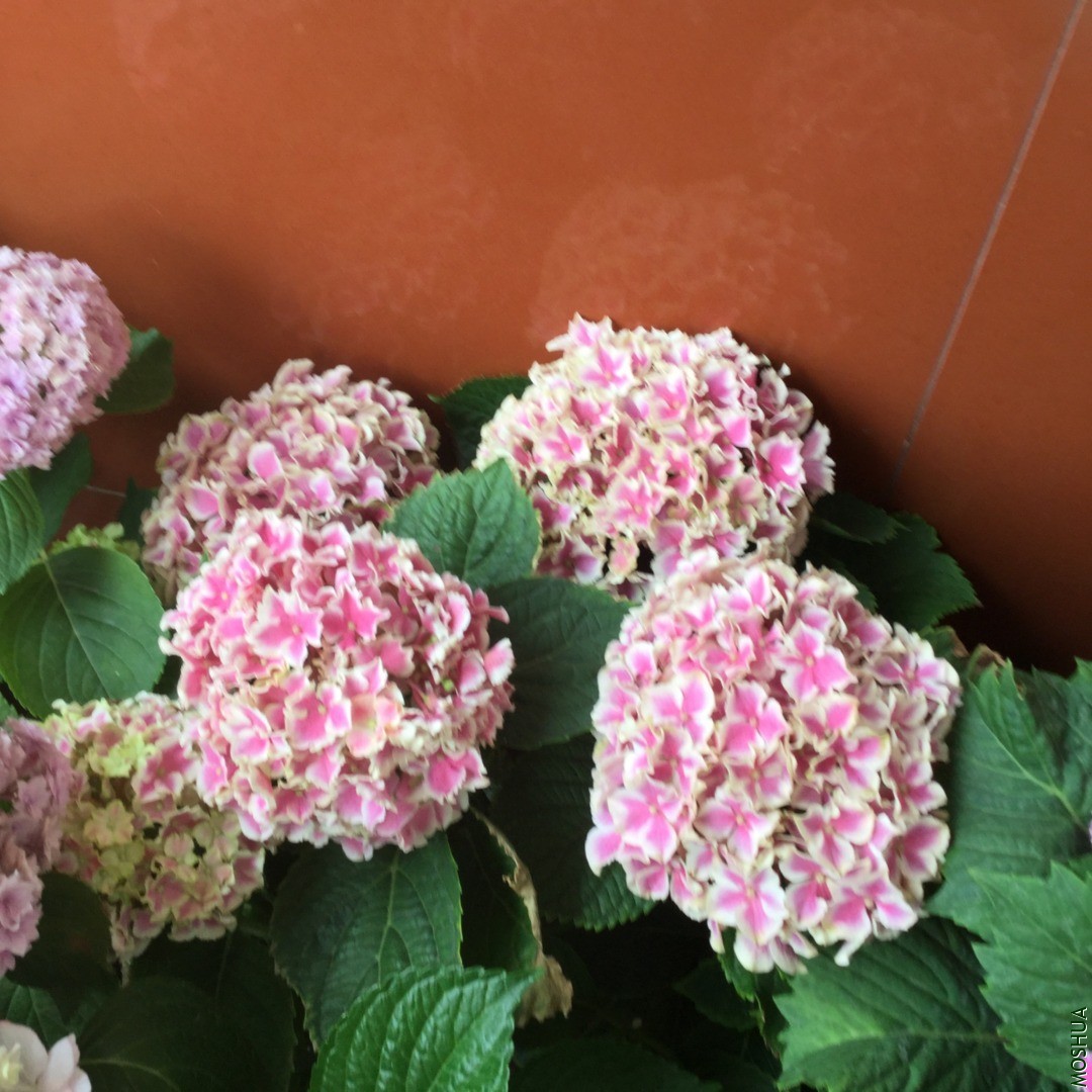 96C62238-F568-41B4-AC55-7875C0073C37.jpeg