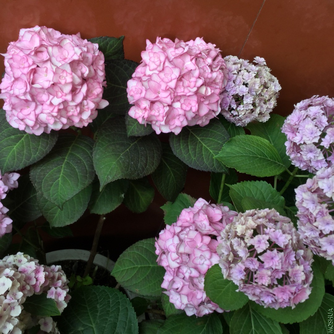 0B7012DD-2306-4D7E-95AB-EA92699F12AE.jpeg
