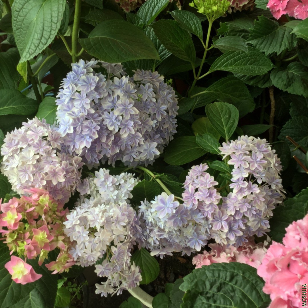 91238207-3DC2-4058-A517-FBAAD513032E.jpeg