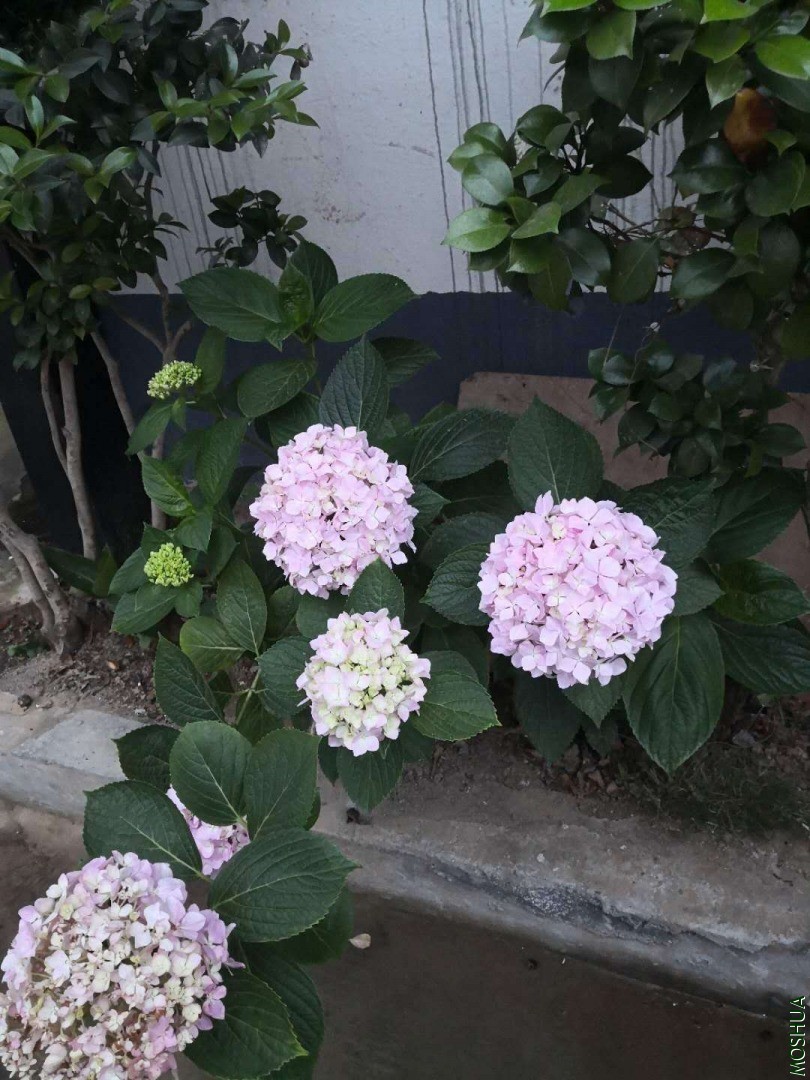 ΢��ͼƬ_20200525095943.jpg
