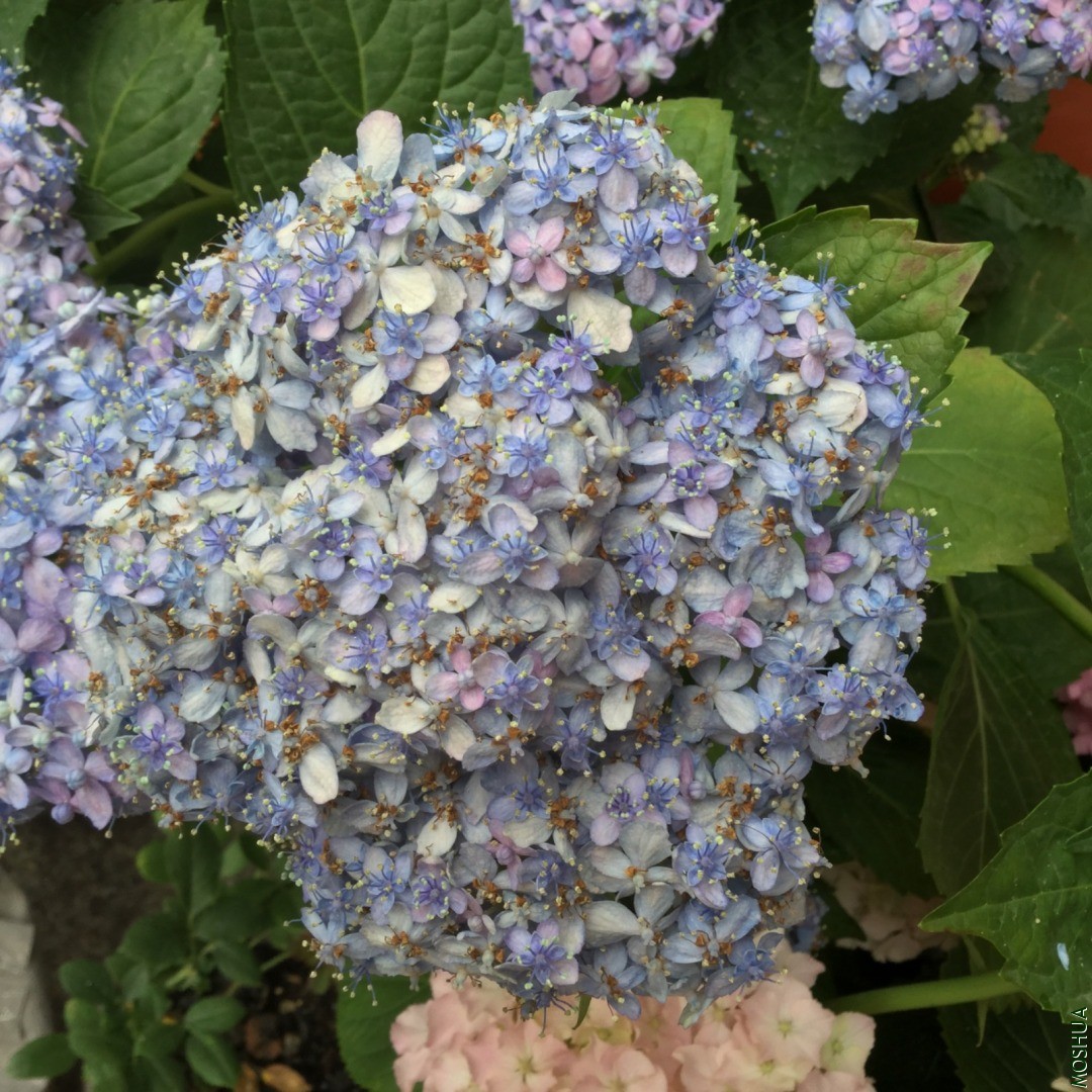 6BA89EF3-B85C-4707-8E21-C4382C8D0305.jpeg