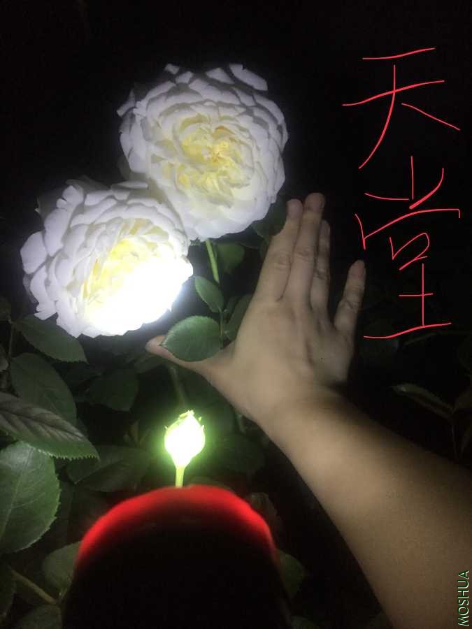 5A8C3836-7FE8-4172-B2DF-9B936A911895.jpeg