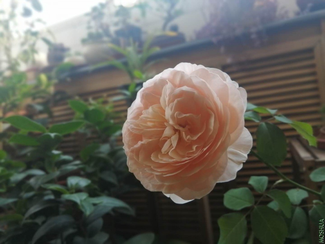΢��ͼƬ_20200607171501.jpg