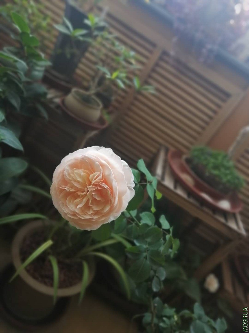 ΢��ͼƬ_202006071715012.jpg