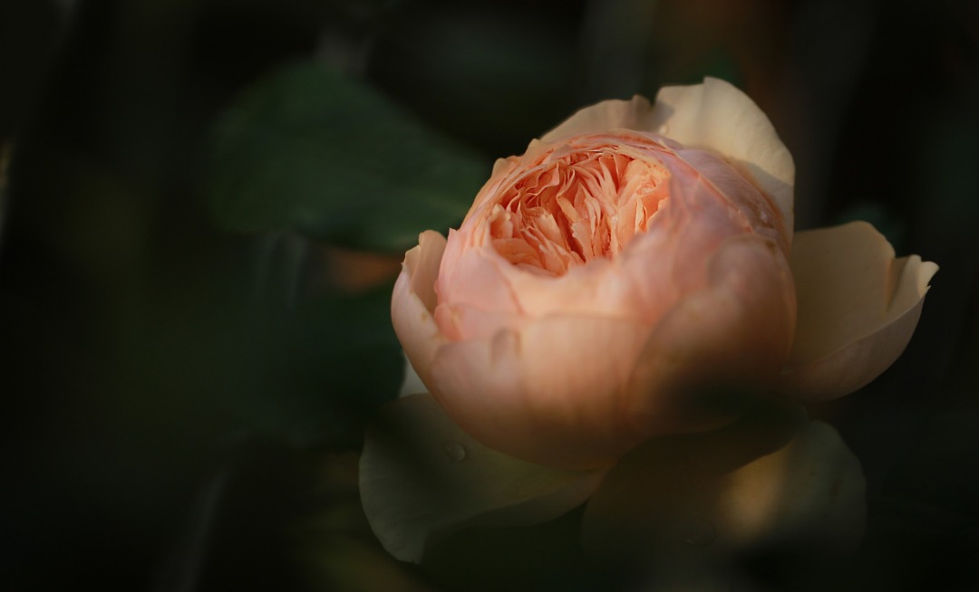 0U1A0608.JPG