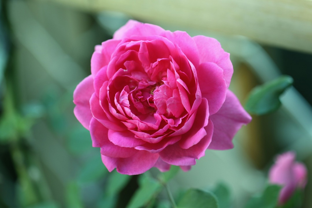 0U1A0076.jpg