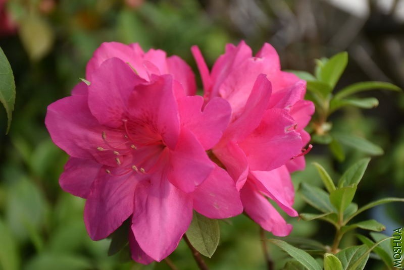 DSC_05830583.JPG