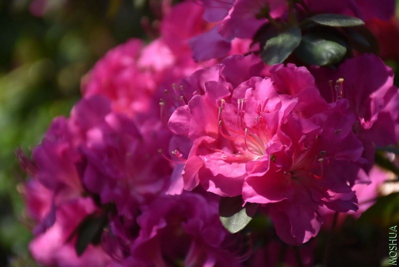 DSC_06140614.JPG