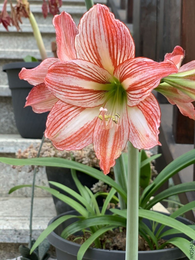 QQͼƬ20200619092707.jpg