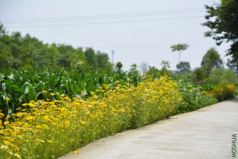 _DSC97050108.JPG