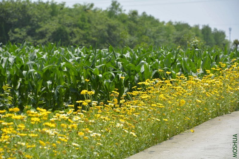 _DSC97040107.JPG