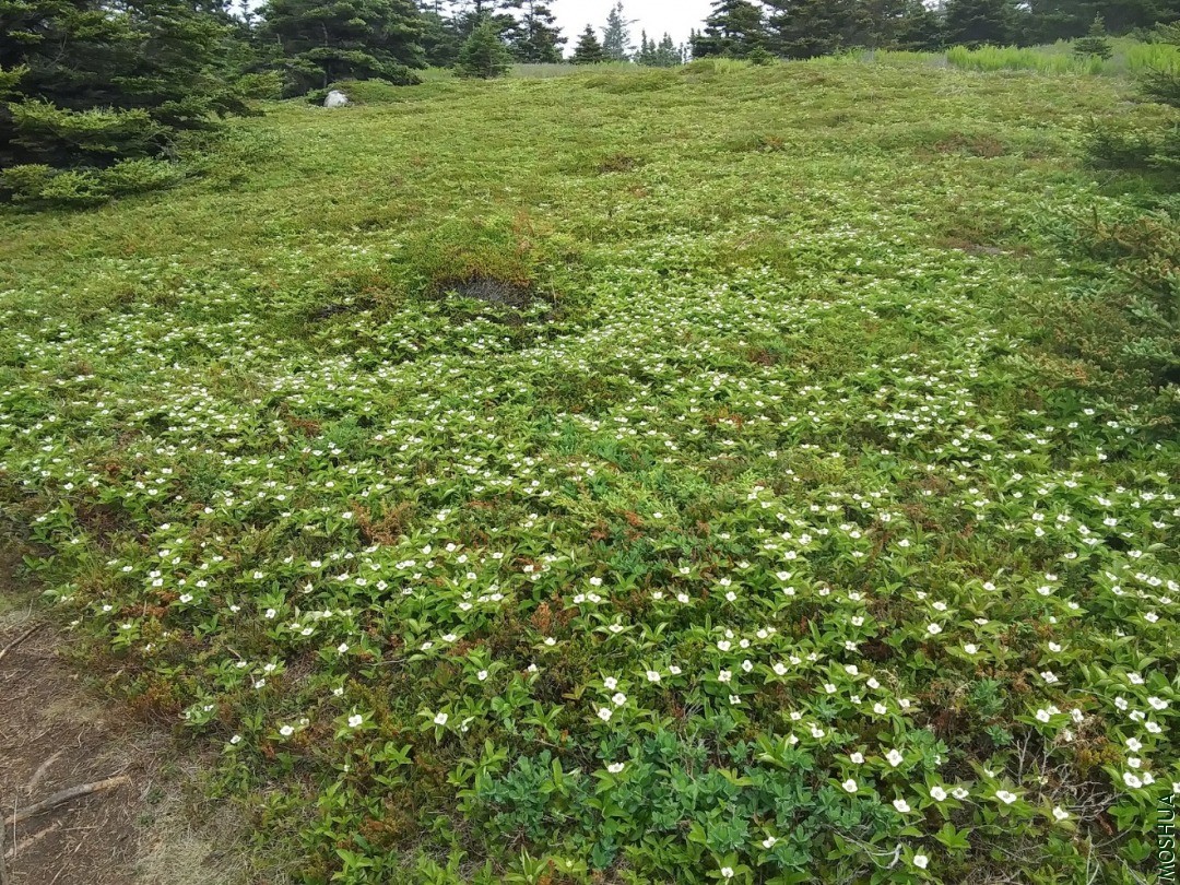 20200625_121652.jpg