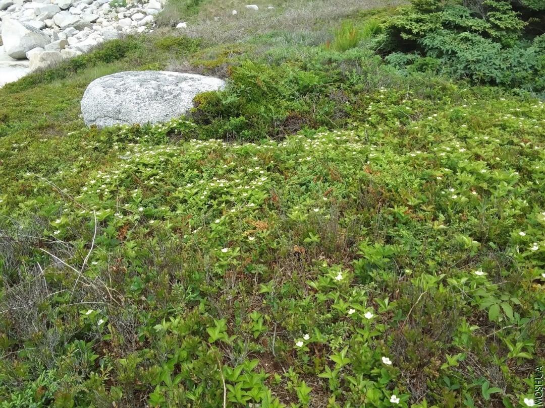 20200625_120913.jpg