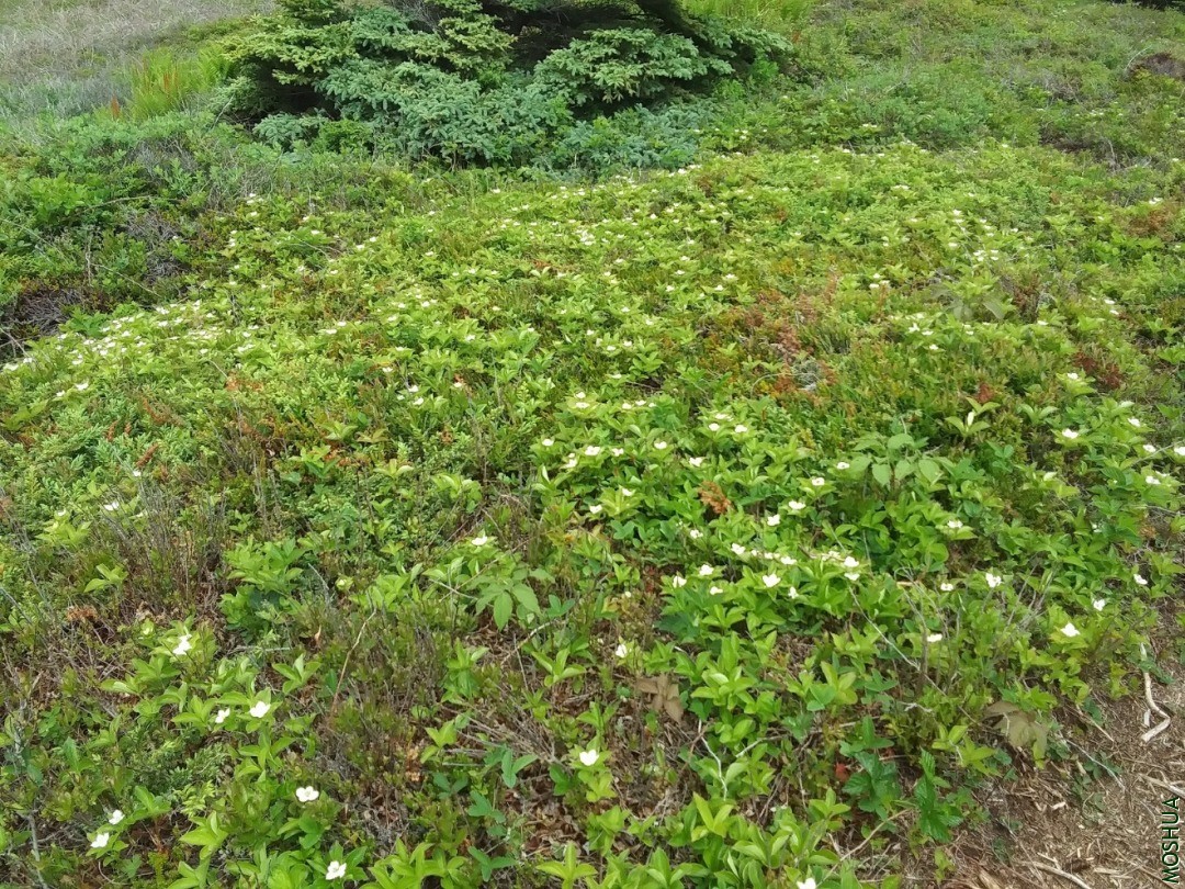 20200625_120915.jpg