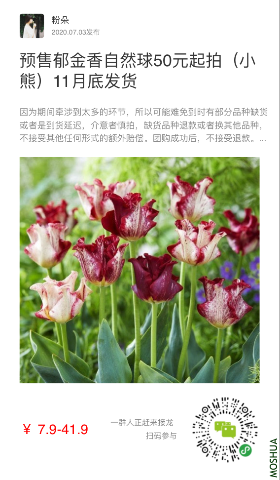 DBBD3B74-2424-46B8-A8EC-2947A52B6281.png