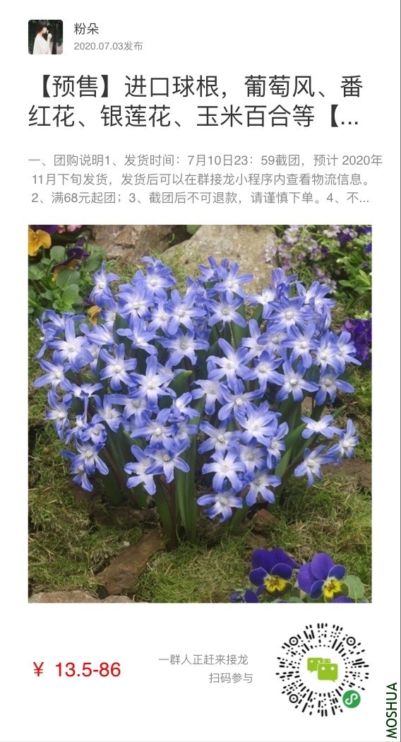 5443F697-41D8-4FEE-93AA-317ECA77BF73.png.jpg