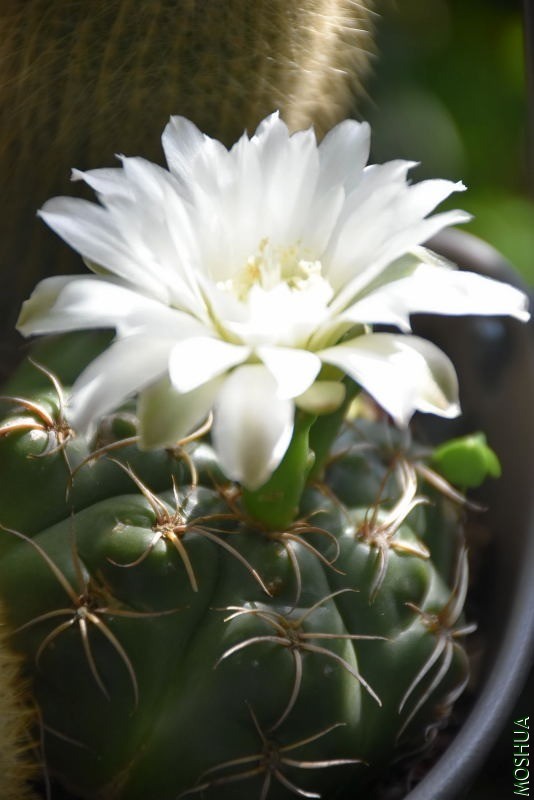 DSC_00010001.JPG