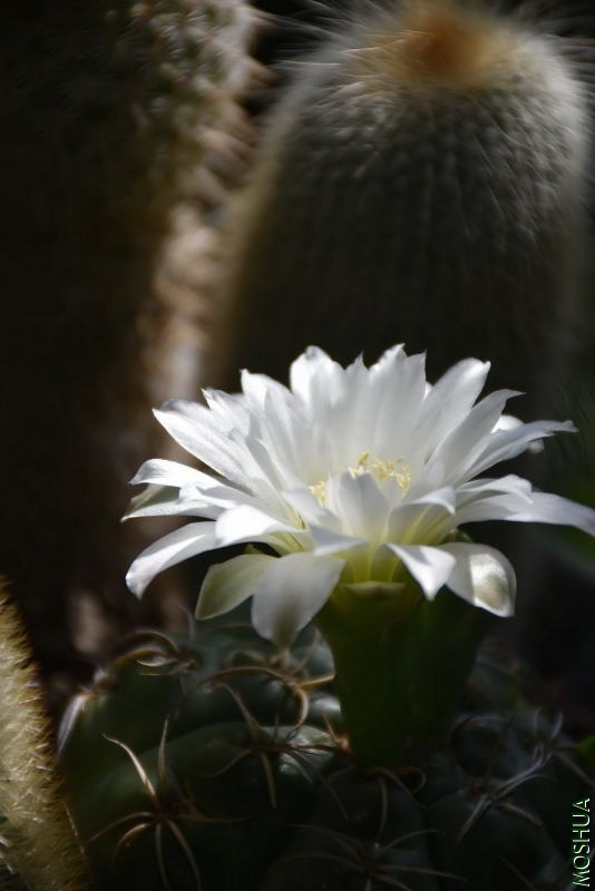 DSC_00150015.JPG