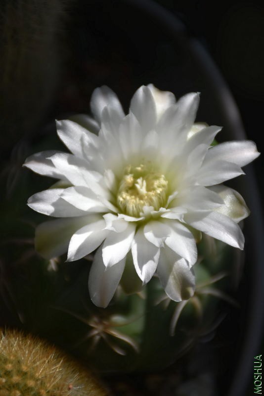 DSC_00210021.JPG