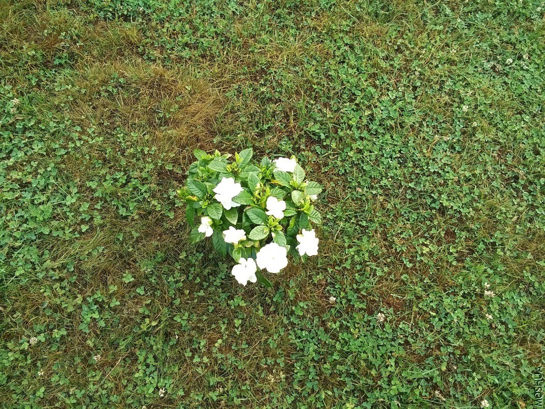 20200701_080141.jpg