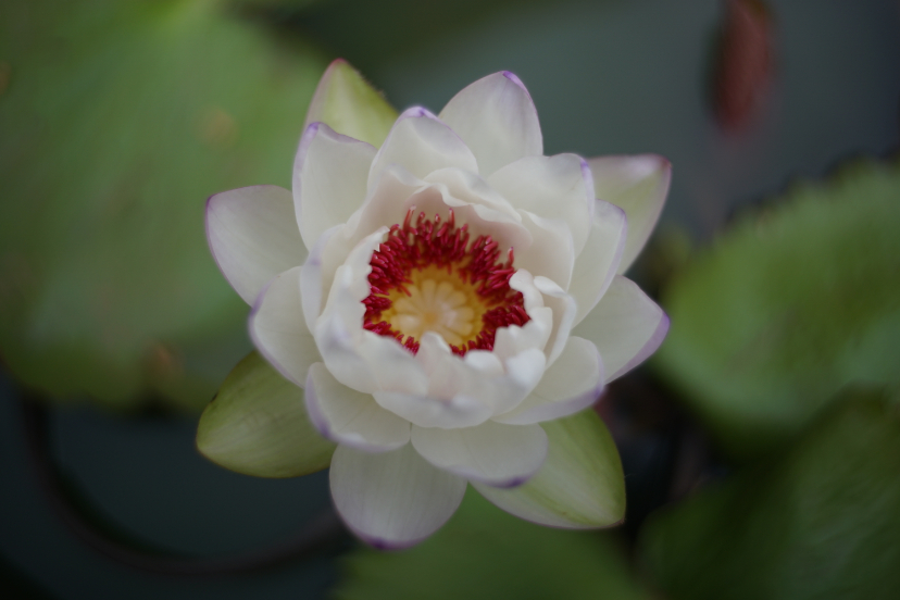 DSC01328.JPG