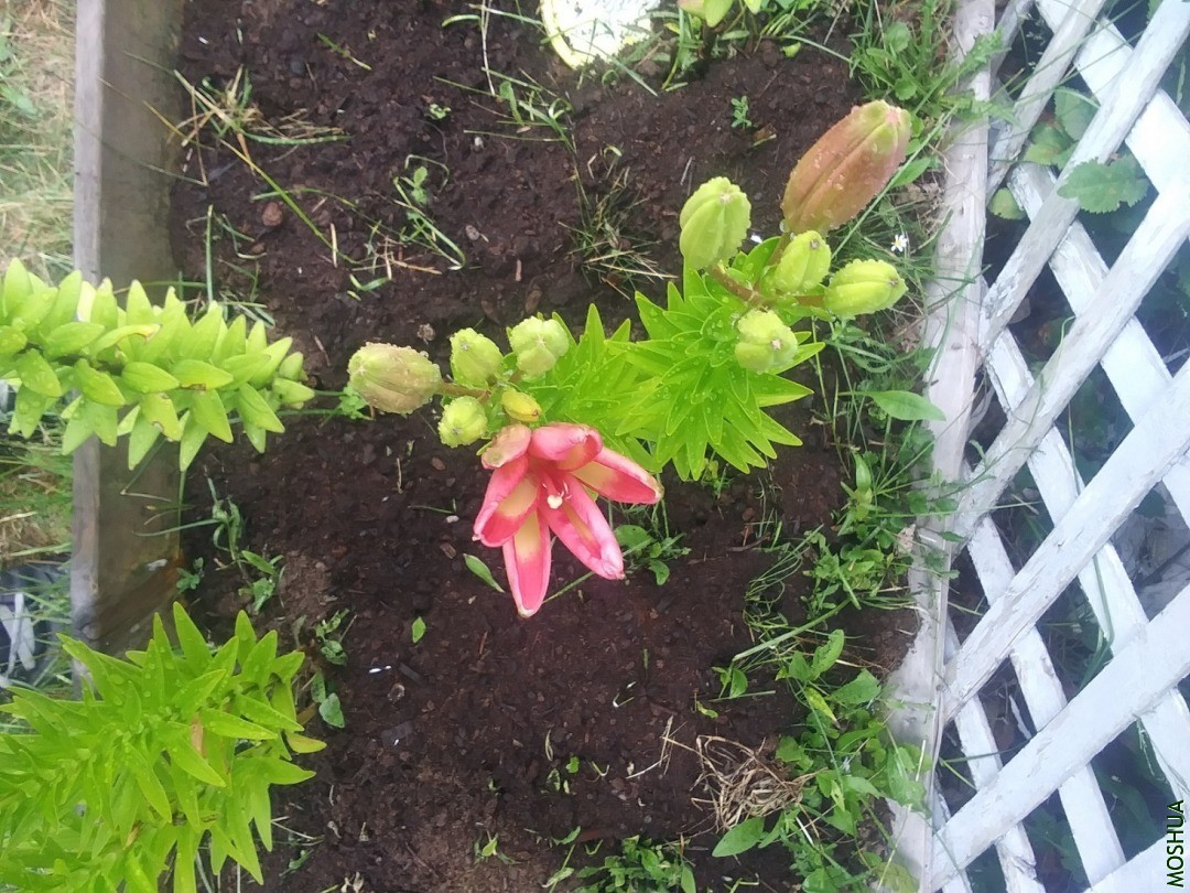 20200723_095654.jpg